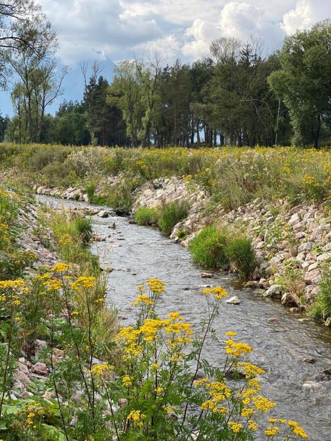Rezidencia Woodchalet Vel'ka Lomnica Dış mekan fotoğraf